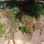 בית נופש Casa De Celebrar A Vida