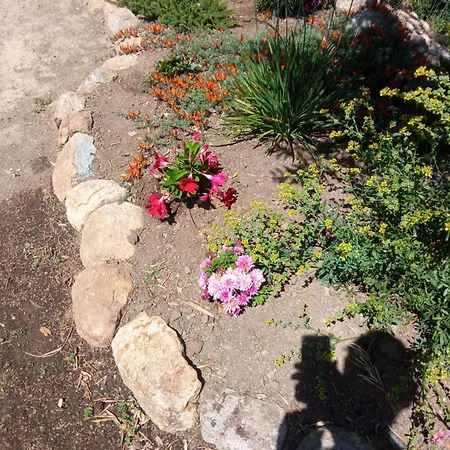 Casa De Celebrar A Vida Monchique