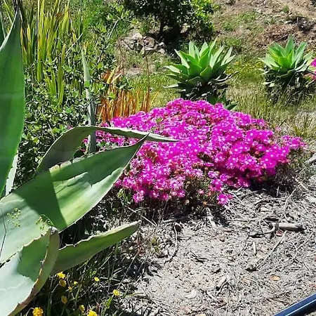 Feriehus Casa De Celebrar A Vida *