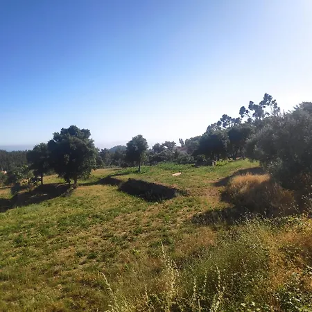 Dom wakacyjny Casa De Celebrar A Vida Monchique