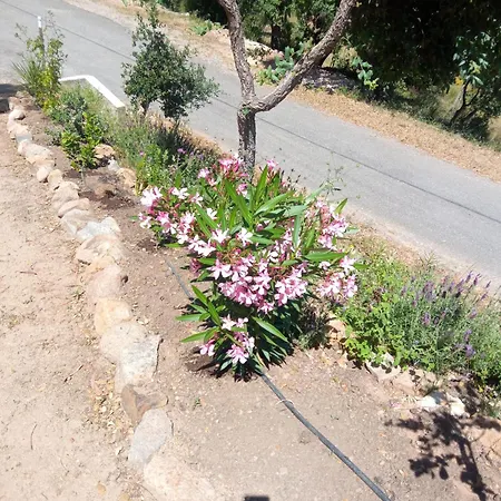 Сasa de vacaciones Casa De Celebrar A Vida *