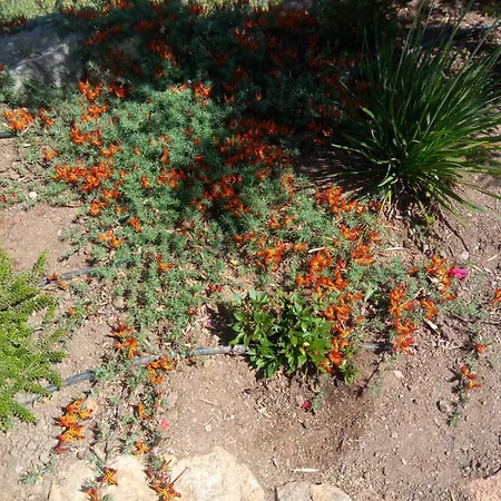 Сasa de vacaciones Casa De Celebrar A Vida