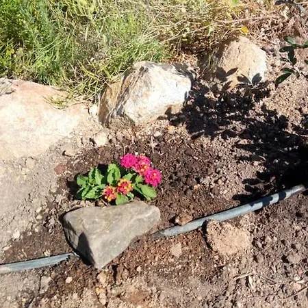 Casa De Celebrar A Vida Сasa de vacaciones *