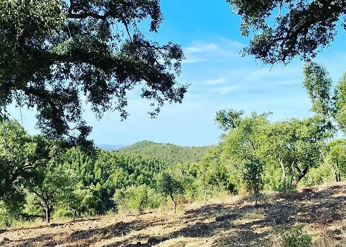 Casa De Celebrar A Vida