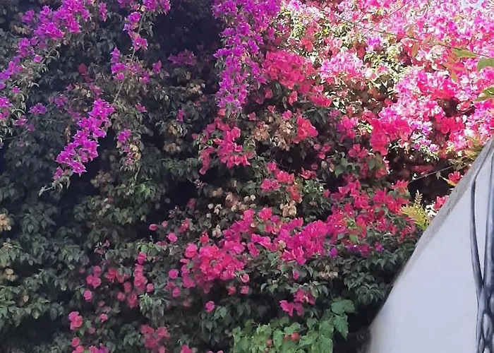 Casa De Celebrar A Vida *