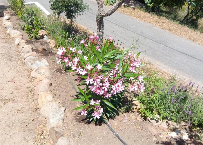 別荘 Casa De Celebrar A Vida *