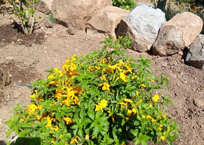 Casa De Celebrar A Vida 別荘 *