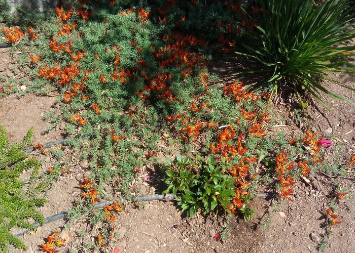 בית נופש Casa De Celebrar A Vida