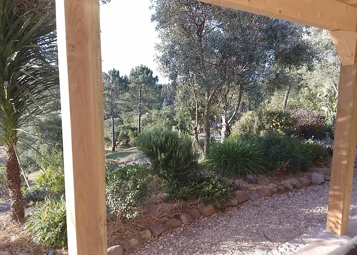 Casa De Celebrar A Vida * מונצ'יק