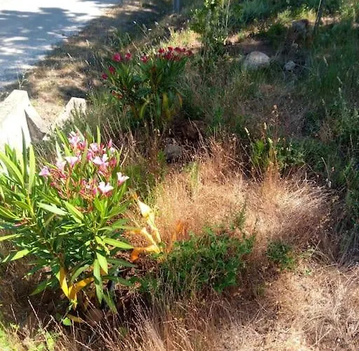 Casa De Celebrar A Vida Σπίτι διακοπών