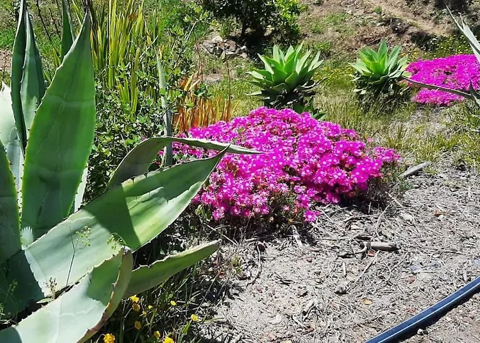 別荘 Casa De Celebrar A Vida *