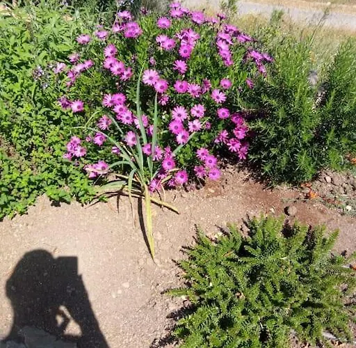 Casa De Celebrar A Vida 別荘 モンシケ