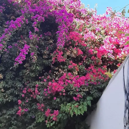 Casa De Celebrar A Vida *