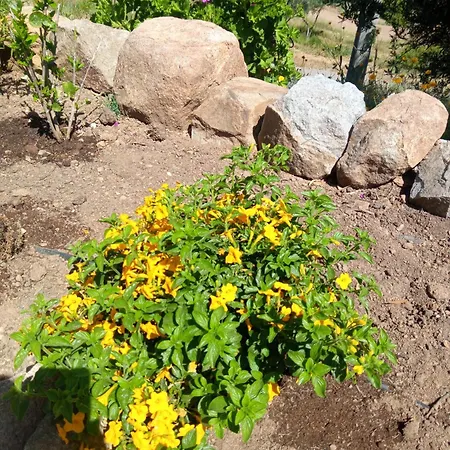 Casa De Celebrar A Vida Дом отдыха *